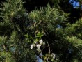 /album/a22-04-2011-jar-na-chalupke/dsc05897-jpg/